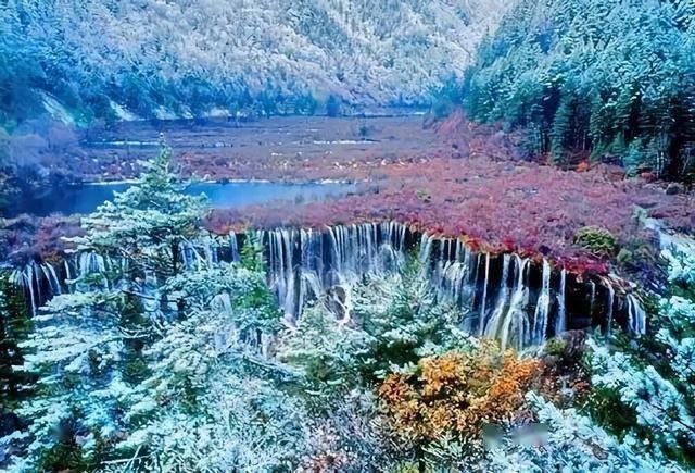 智力水滴